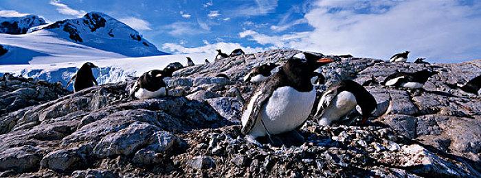 免费游戏《星球大战：银河猎手》6月4日发售 登陆Switch和移动端